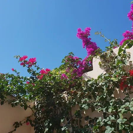 Casa Di A Murza Vue Citadelle Rdc Apartman *